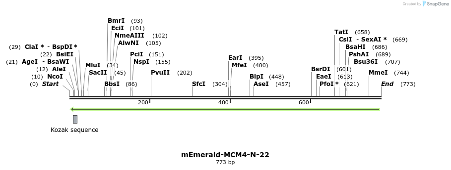 92601_map