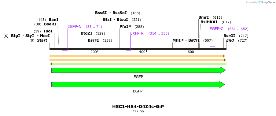 92602_map