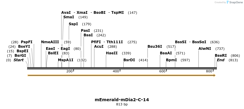 92609_map
