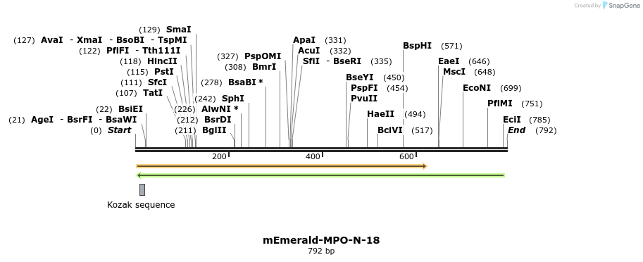 92610_map