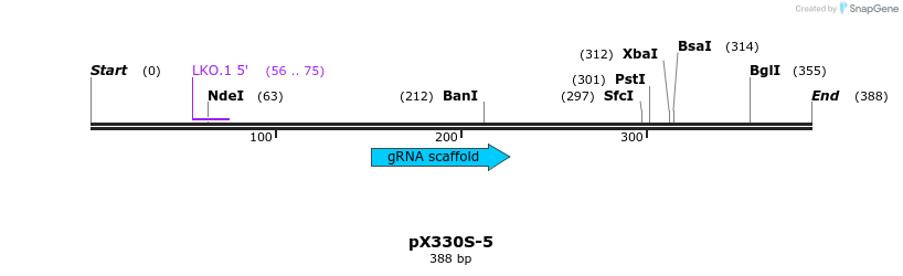 92611_map