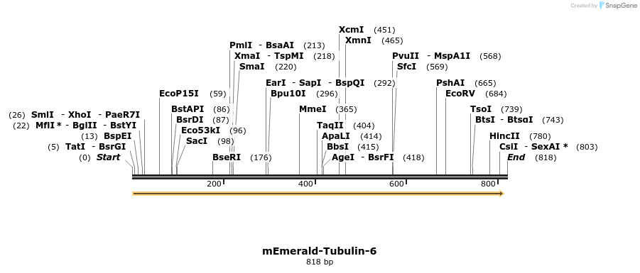 92614_map