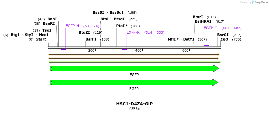 92617_map