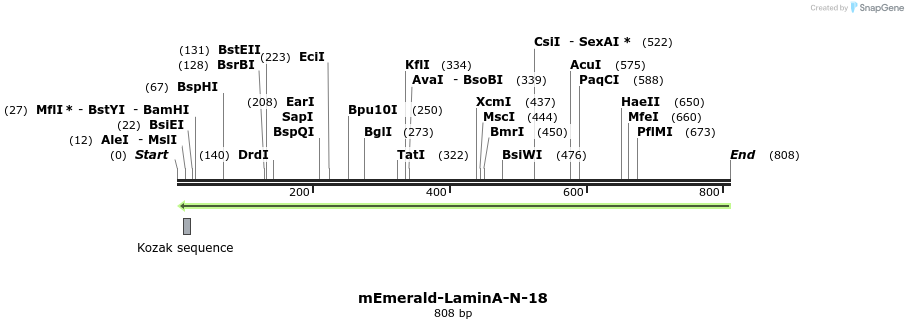 92624_map