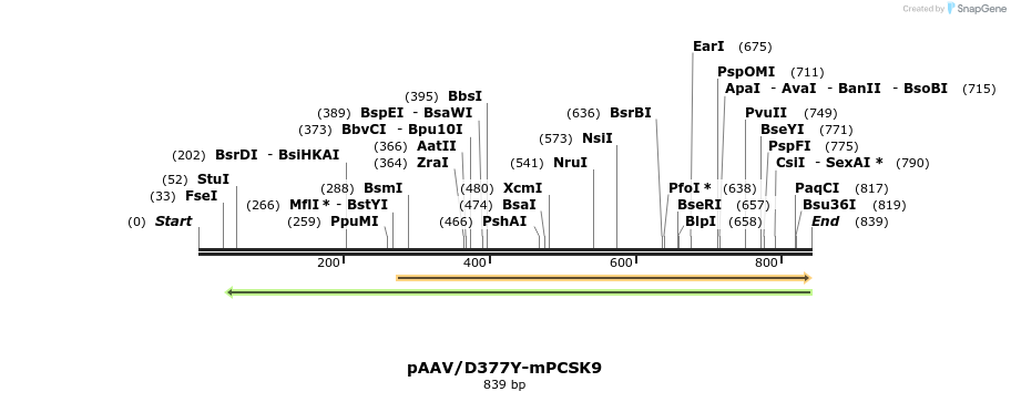 92626_map