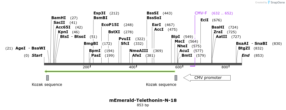 92630_map