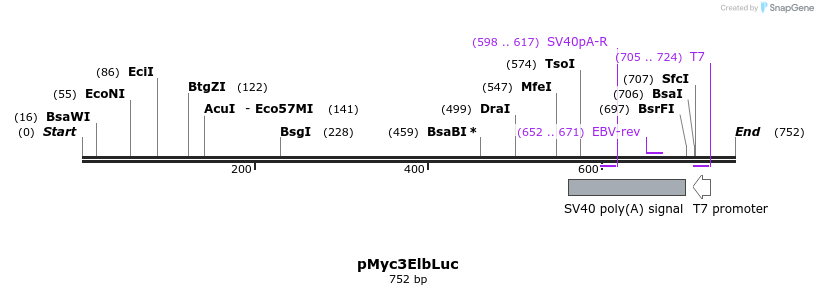 92636_map