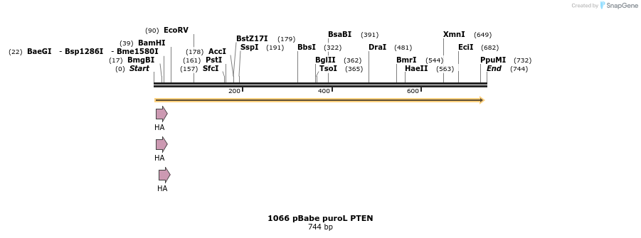 92641_map
