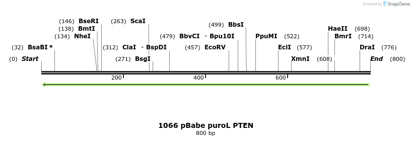 92642_map
