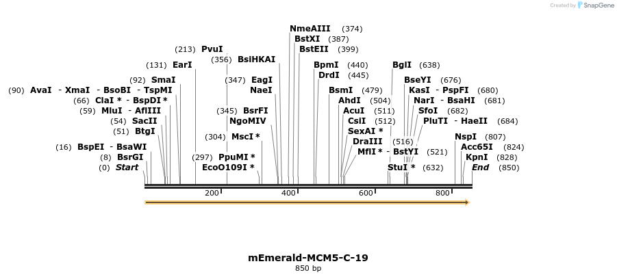 92648_map