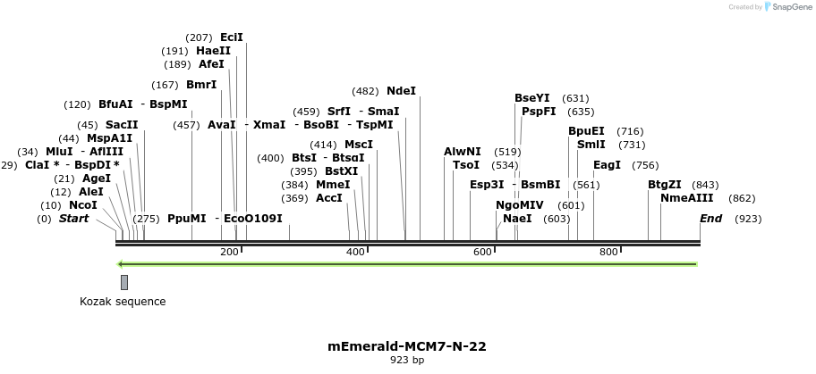 92650_map