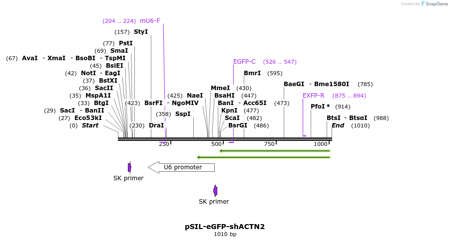92657_map