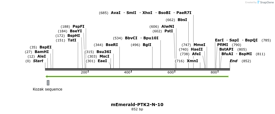 92665_map