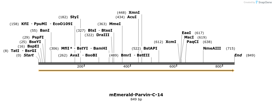 92668_map