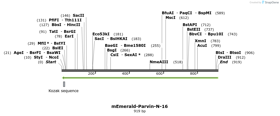 92675_map