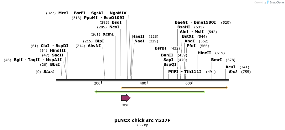 92682_map