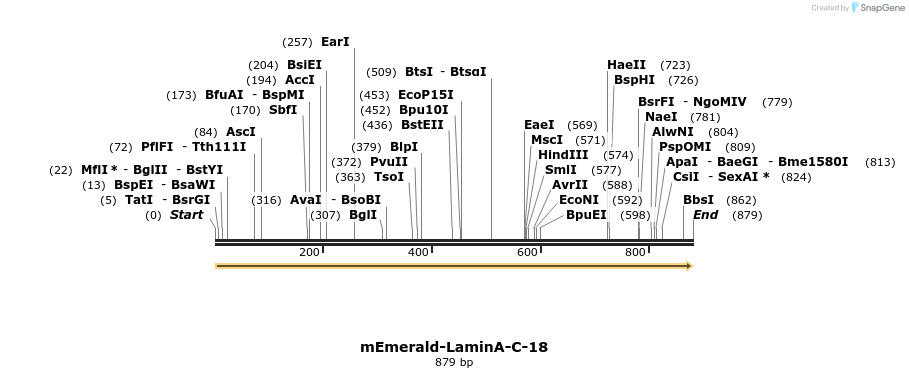 92684_map