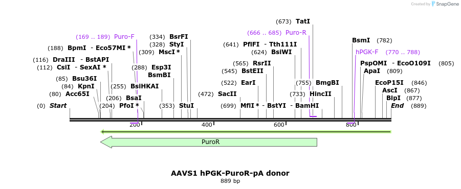 92685_map