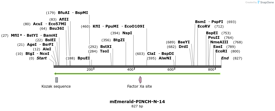 92689_map