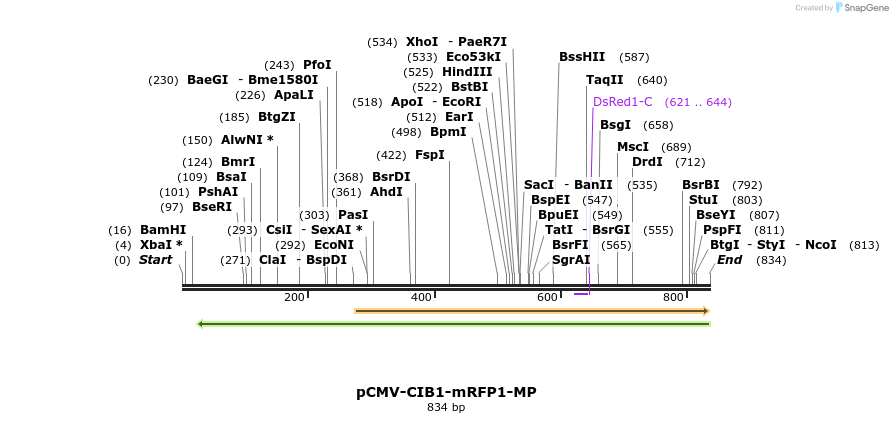 92691_map