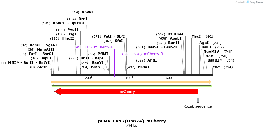 92694_map