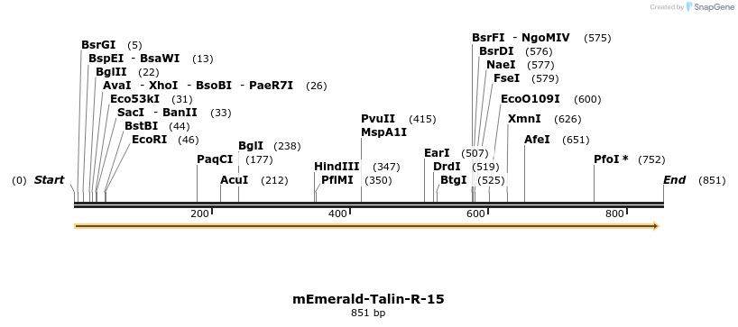 92700_map
