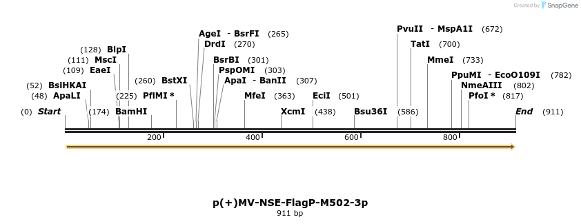 92702_map
