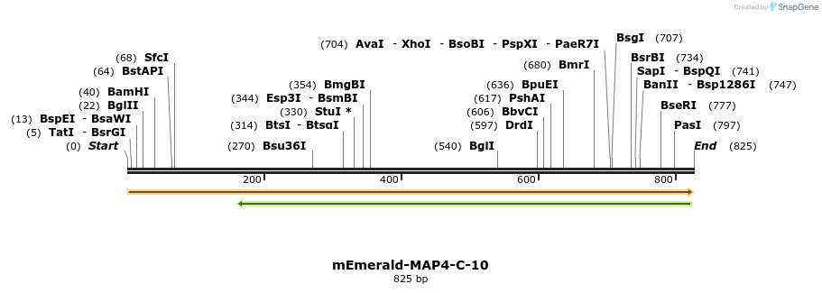 92703_map
