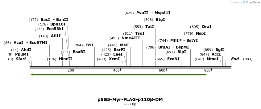 92717_map