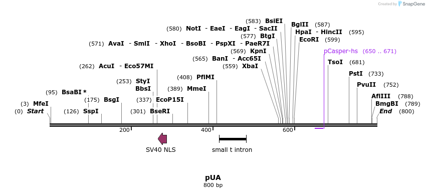 92726_map