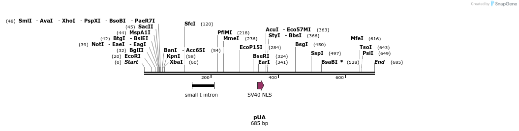 92727_map