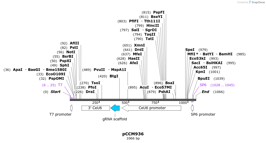 92741_map