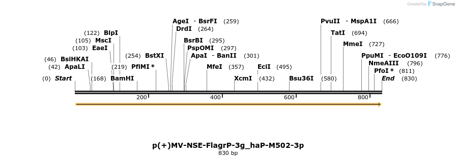 92742_map