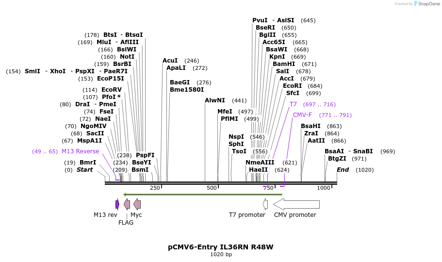 92750_map