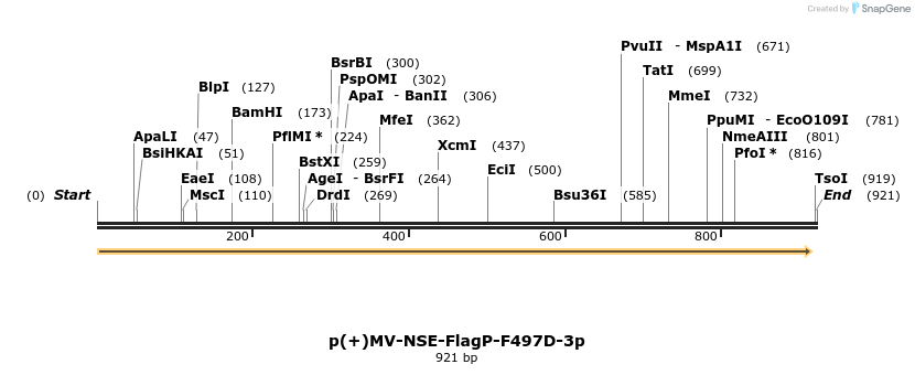 92751_map