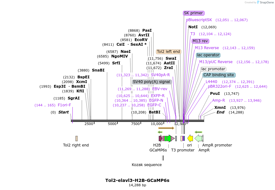 92755_map