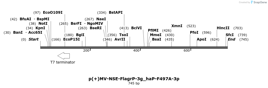 92763_map
