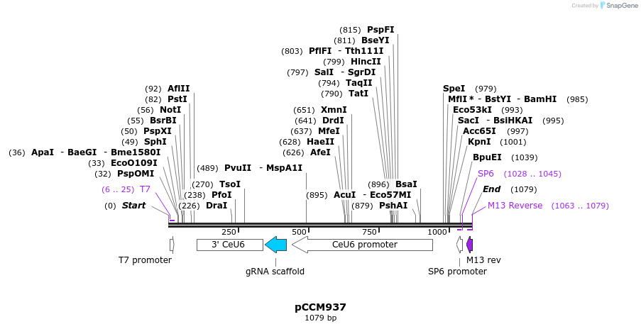 92786_map