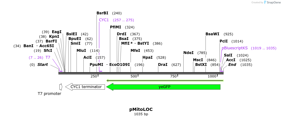 92791_map