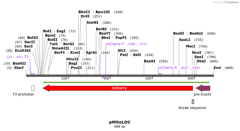 92792_map