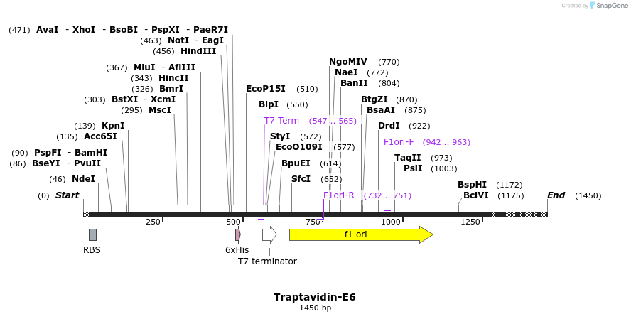 92802_map