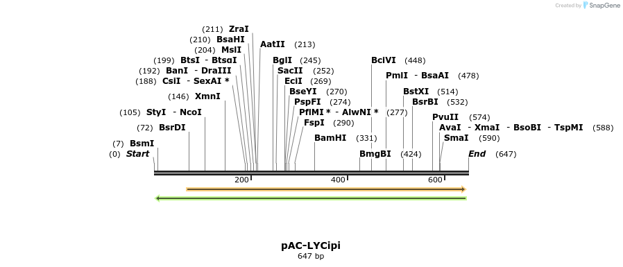 92803_map