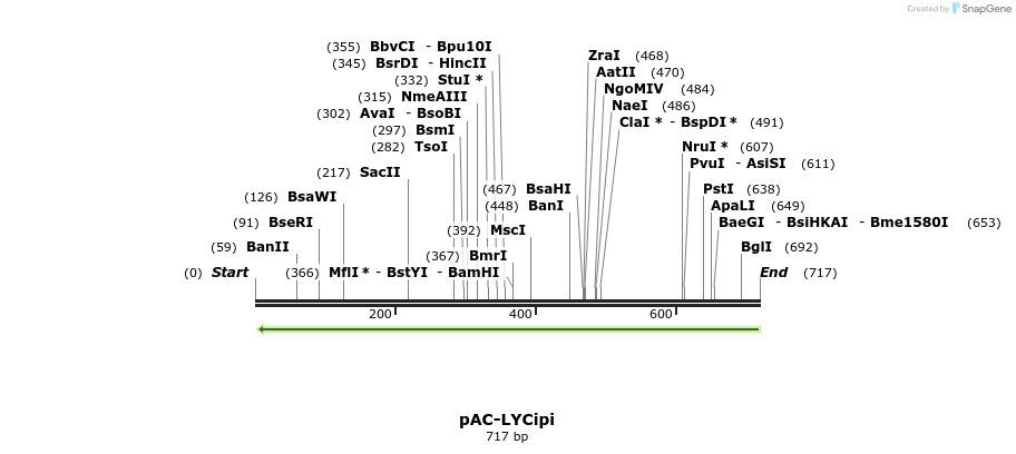 92804_map