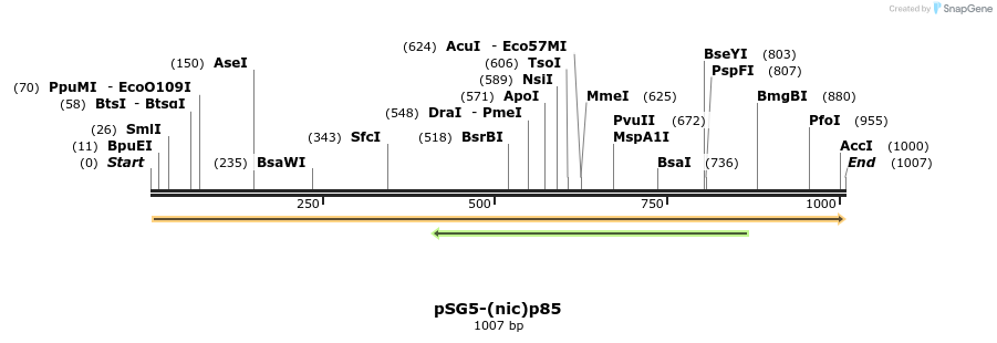 92805_map