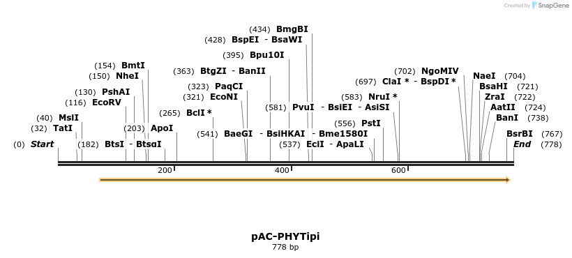 92807_map