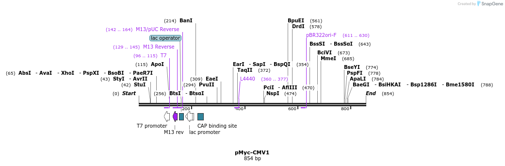 92808_map