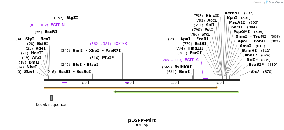 92809_map