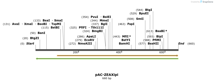 92810_map