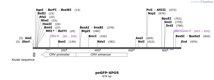 92811_map