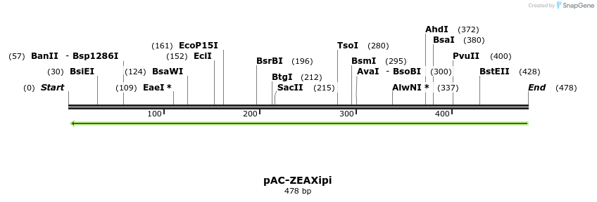 92815_map